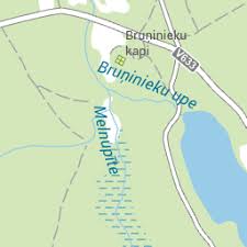 Attēlu rezultāti vaicājumam “Choerades sp.”