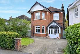 Image result for Thames Ditton Schools Fc