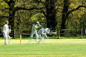 Image result for Ewhurst Cricket Club