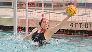 Image result for Lumley Ladies Football Club