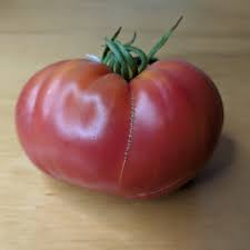 Afbeeldingsresultaat voor prudence purple tomato