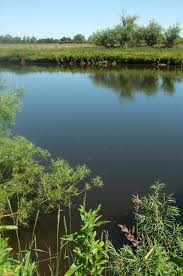 Image result for Nunwick Cc