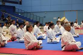 Image result for Bournemouth Shorinji Kempo Club
