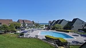 Image result for York University Surf Club