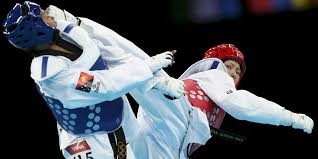 Image result for ENGLISH INTERNATIONAL ALLSTYLES TAEKWONDO