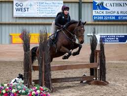 Image result for Ayr Riding Club