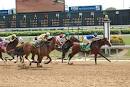 Celebrating the KENTUCKY DERBY « heidikins.