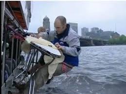 Image result for extreme ironing