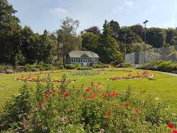 Image result for Ilfracombe Table Tennis Club