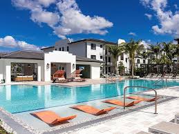 Image result for Solea solea