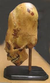 Image result for elongated skulls