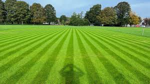 Image result for Leverstock Green Cricket Club