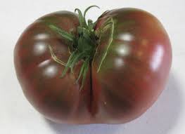 Afbeeldingsresultaat voor carbon tomato