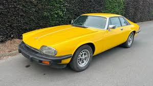 Image result for Platinum 1979 Jaguar