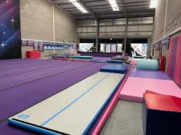 Image result for City Of Coventry Rhythmic Gym Club