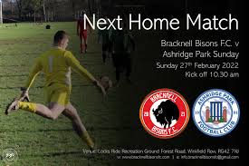 Image result for Bracknell Manics Fc