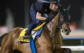 Image result for Almond Riding Club