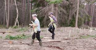 Image result for Bracknell Forest Runners