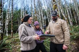 Image result for Craigavon Cougars