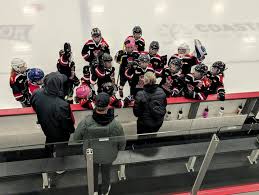 Image result for Mid Surrey Ladies Hockey Club