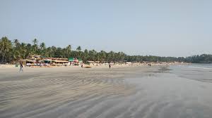 Image result for patnem beach