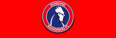 Image result for Dorking Wanderers F C