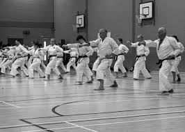 Image result for Bristol Karate Club