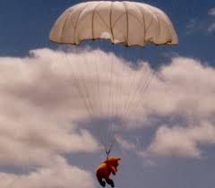 Image result for White Horse Kite Fliers Club