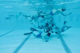Image result for Underwater Hockey Ireland