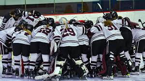 Image result for Adur Skater Hockey Club