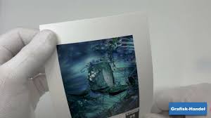 Image result for Taoist Arts (Ilford)