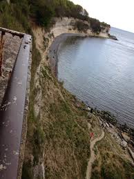 Image result for stevns klint