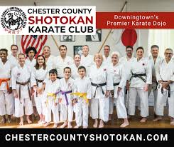 Image result for Henley Shotokan Karate Club