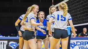 Image result for York University Volleyball Club