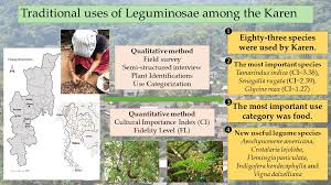 Attēlu rezultāti vaicājumam “Leguminosae”