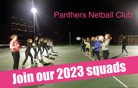Image result for Medway Panthers Netball Club