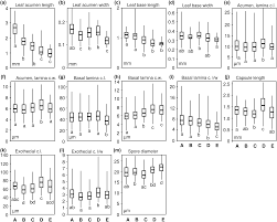 Attēlu rezultāti vaicājumam “Distichium capillaceum sporophyte”