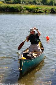 Image result for Kingfisher Canoe Club