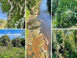 Image result for U3A/LLL Salford Wed. Scrabble Club*