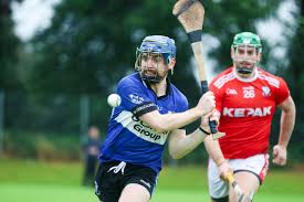 Image result for hurling