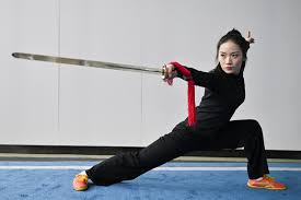 Image result for kung fu