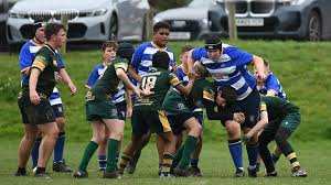 Image result for Mansfield Rugby Union Football Club