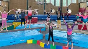 Image result for Zodiac Gymnastics Club