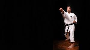 Image result for Abbey Fit Karate Club & Seiki Juku