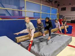 Image result for Notts School Of Gymnastics