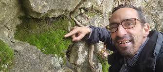 Attēlu rezultāti vaicājumam “Rhynchostegiella tenella sporophyte”