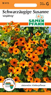 Image result for schwarzäugige Susanne