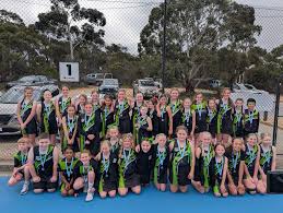 Image result for Zodiac Netball Club