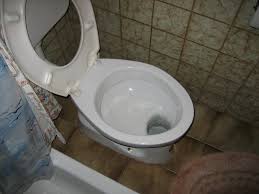 Image result for german toilet