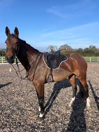 Image result for The Chobham Common Riders Association